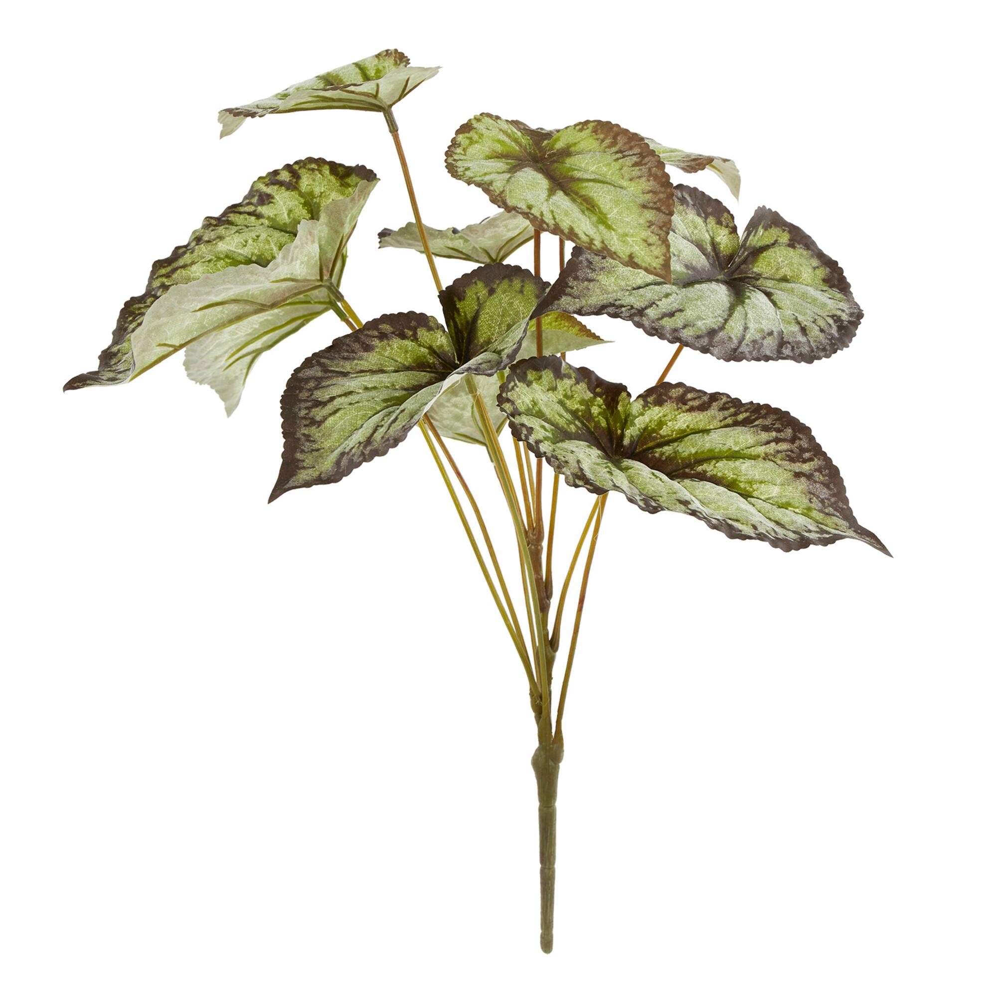 Green & Black Begonia Leaves Bush by Ashland®